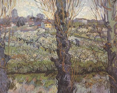 Vincent Van Gogh Orchard in Blossom with View of Arles (nn04) Norge oil painting art